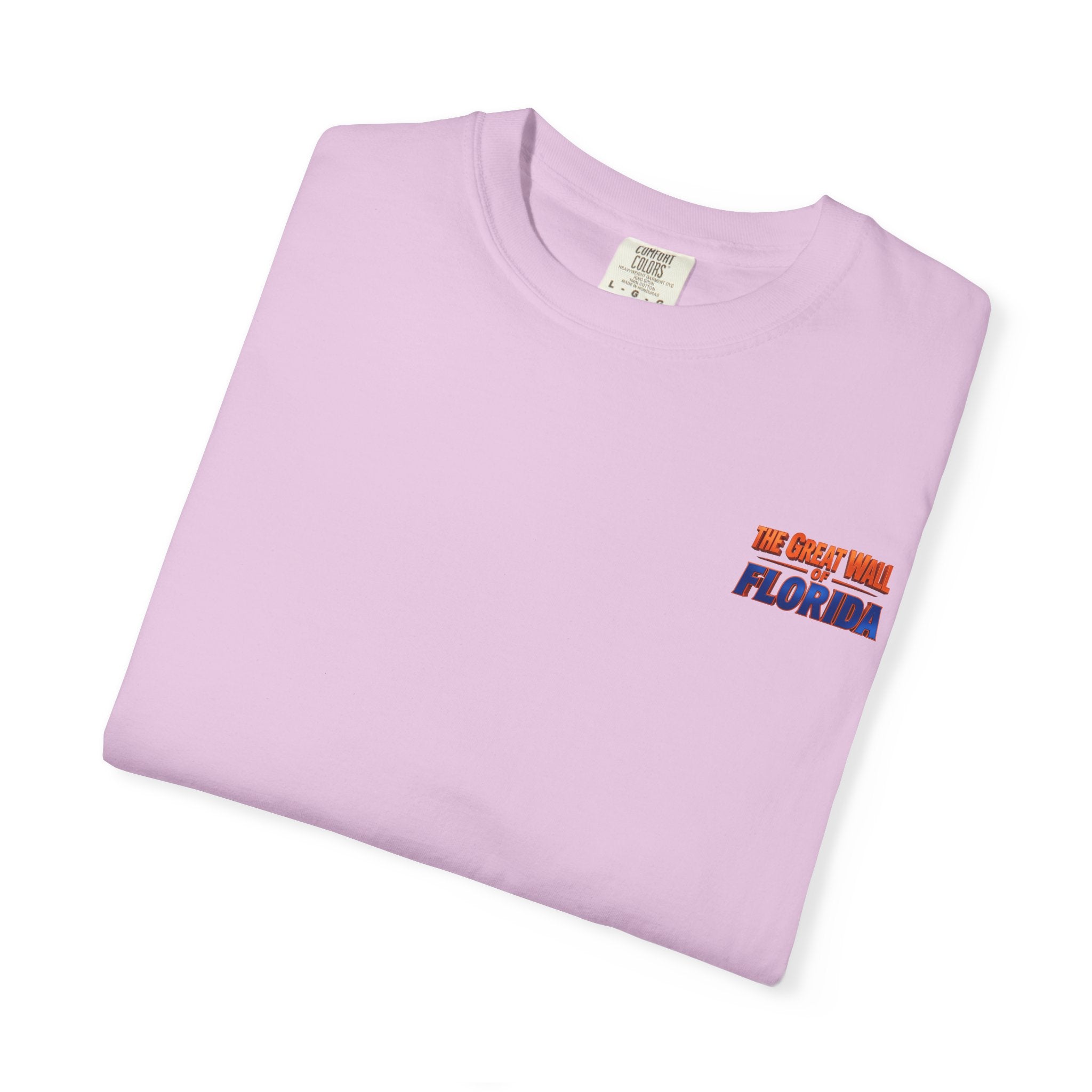 Florida The great wall Vintage Crewneck T-Shirt — 'The Gulf Will Florida' Retro Mailman Graphic