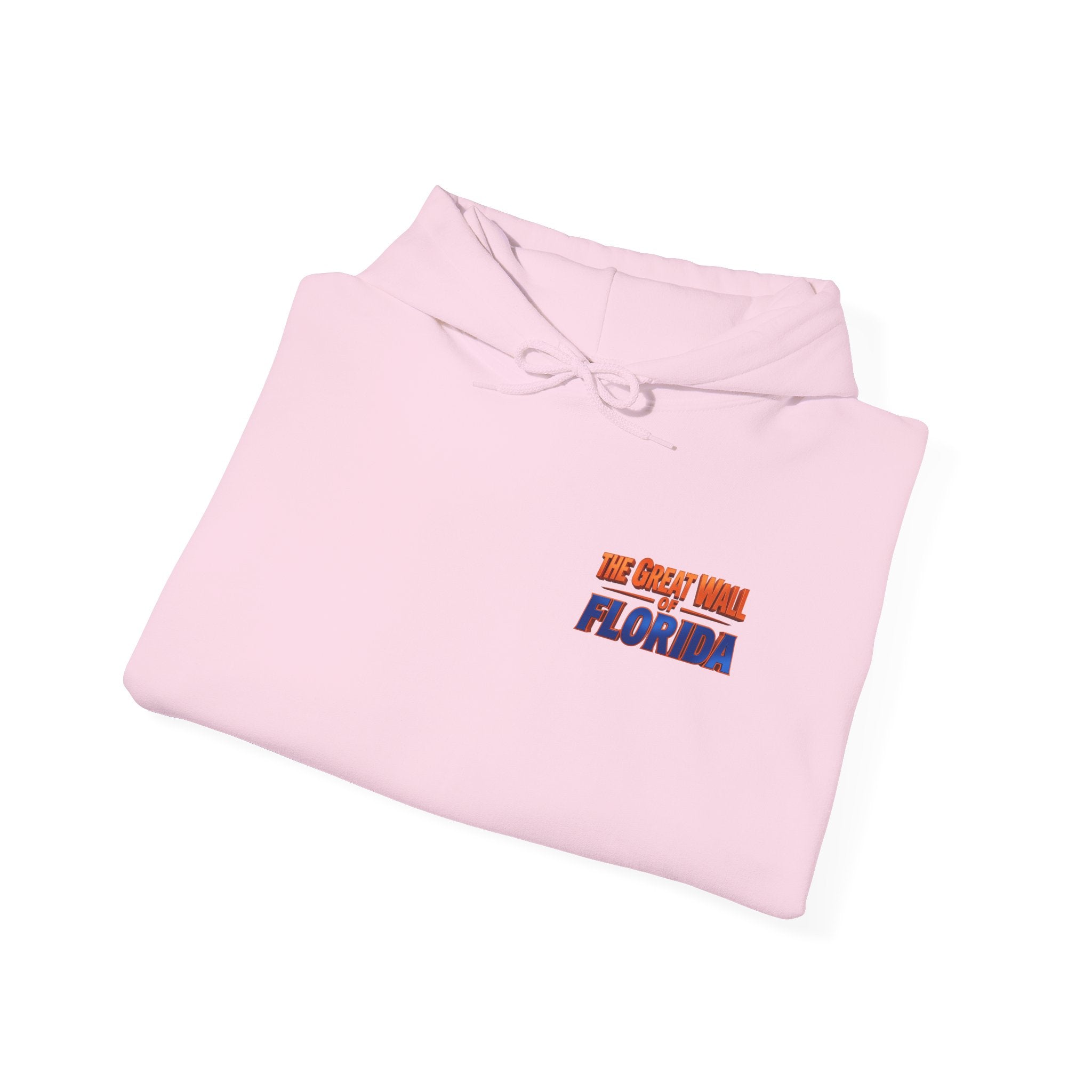 Hoodie — 'We Came From Florida' Retro the wall  Graphic Hoodie