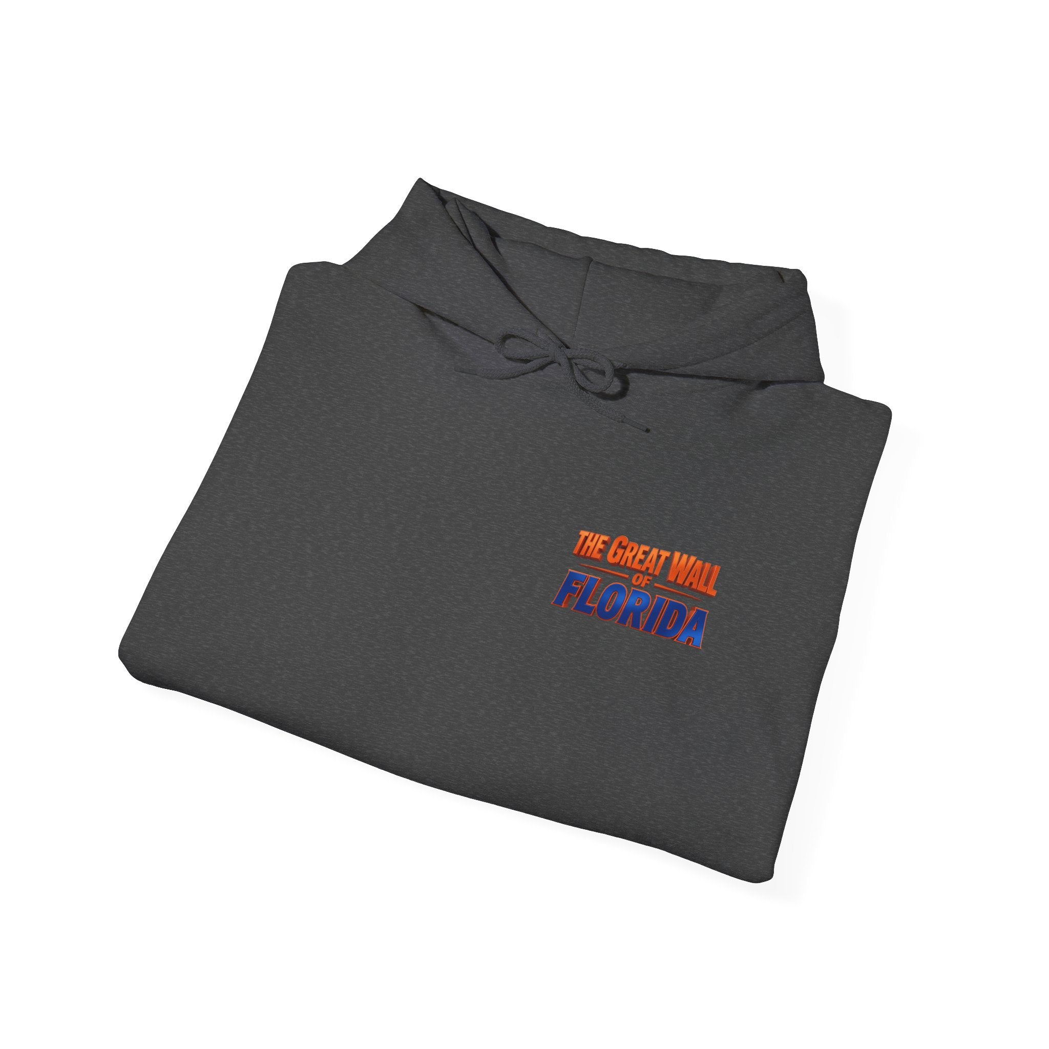 Hoodie — 'We Came From Florida' Retro the wall  Graphic Hoodie