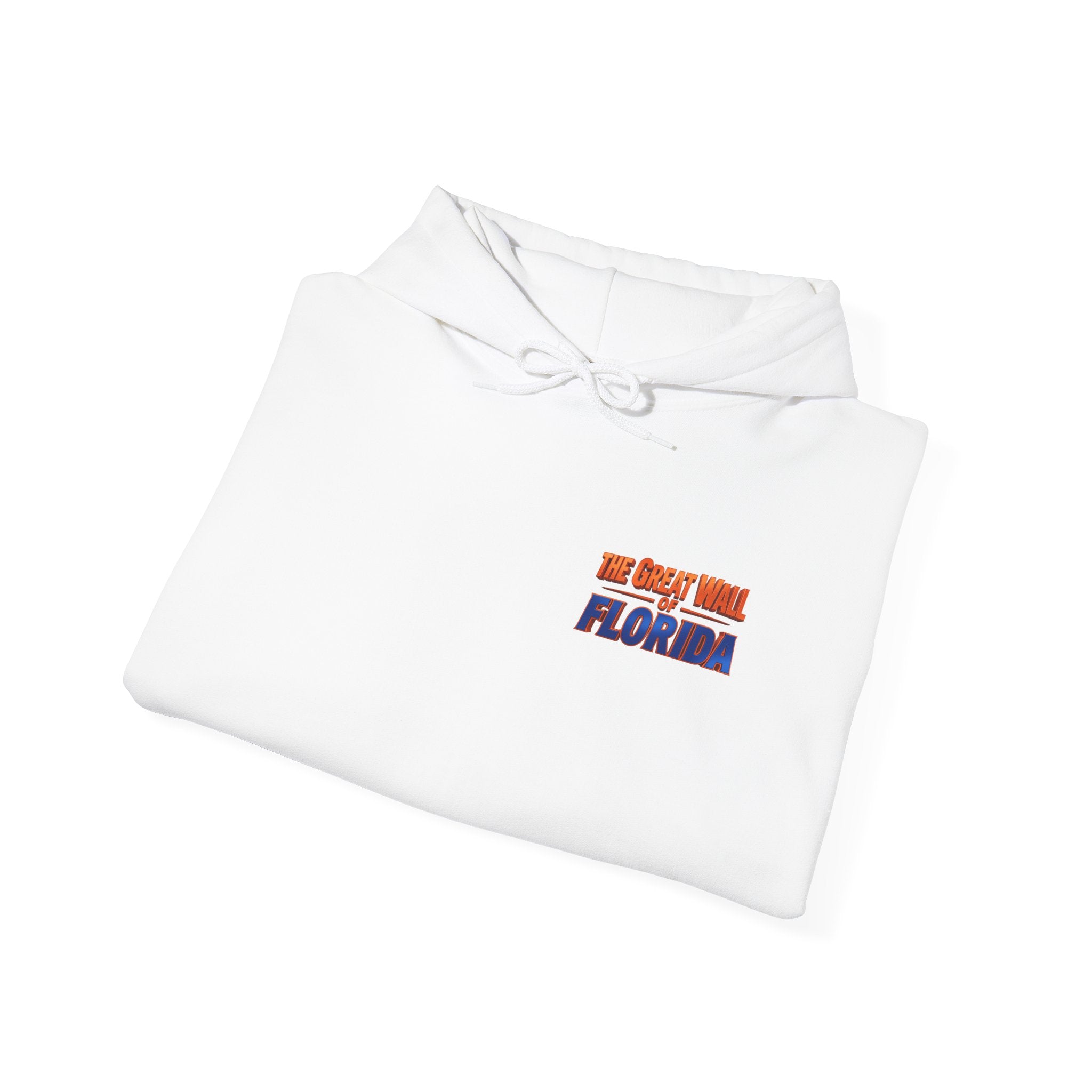 Hoodie — 'We Came From Florida' Retro the wall  Graphic Hoodie