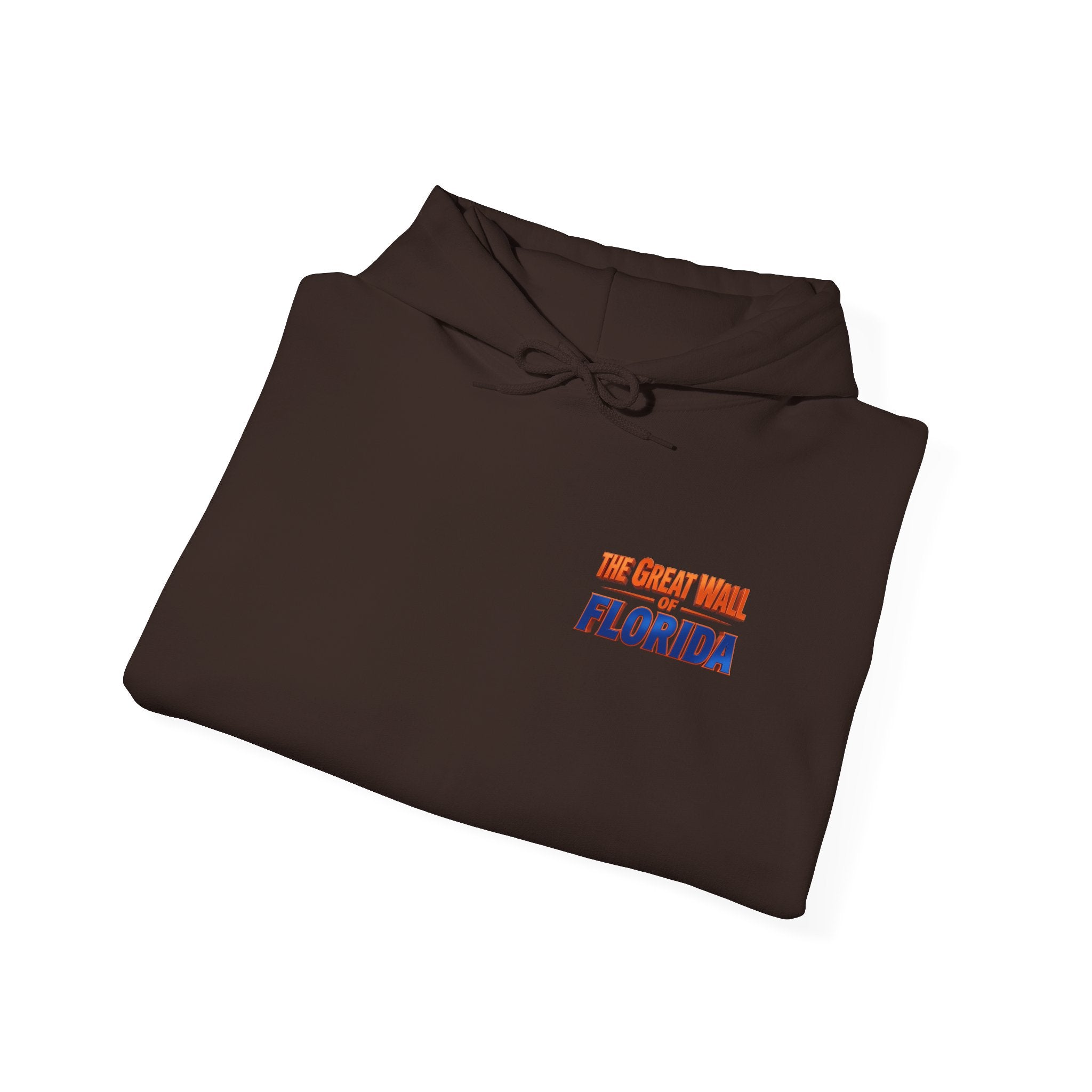 Hoodie — 'We Came From Florida' Retro the wall  Graphic Hoodie