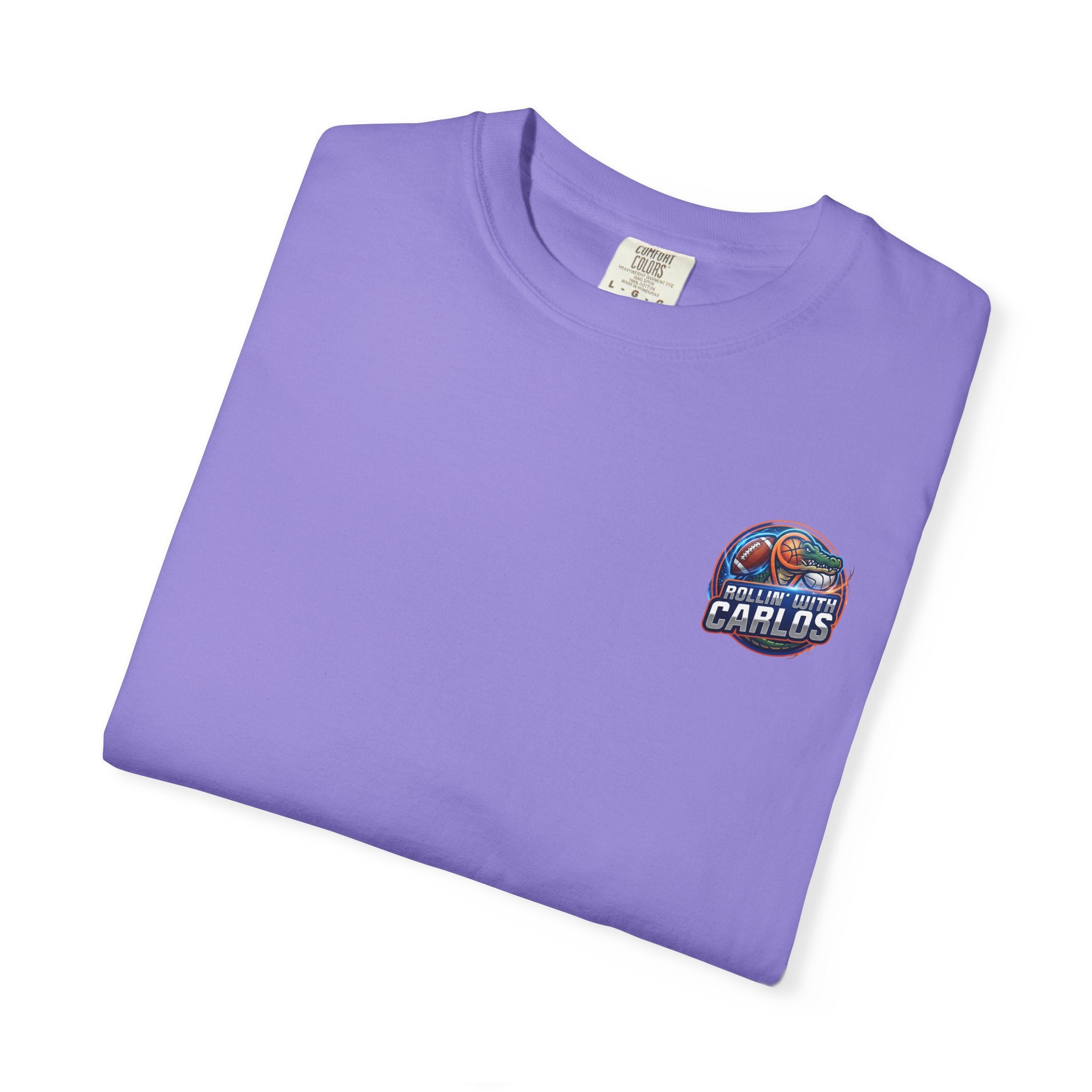 Gators Motivational T-Shirt — "Stay Positive, Stay on Your Grind and Go Gators!"