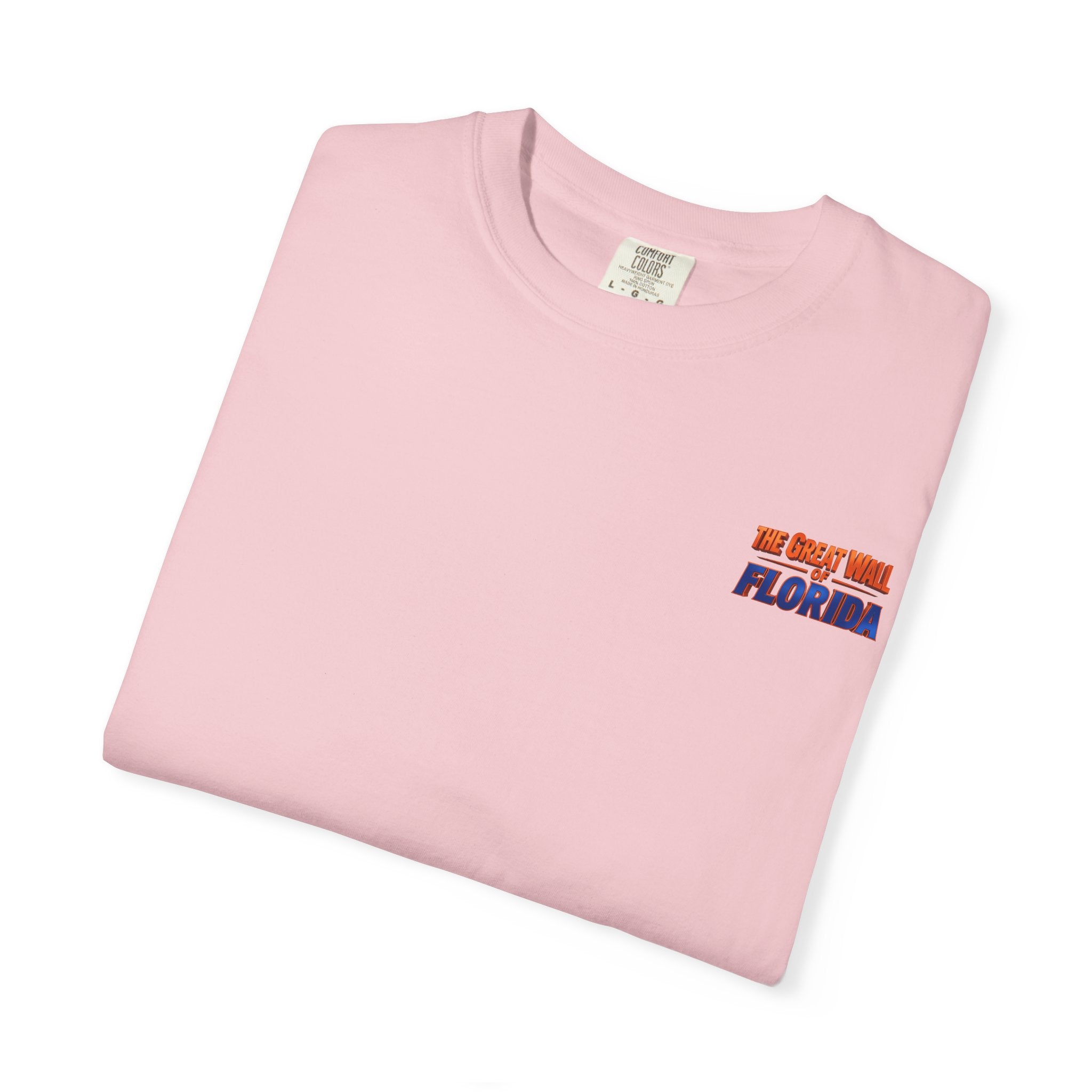 Florida The great wall Vintage Crewneck T-Shirt — 'The Gulf Will Florida' Retro Mailman Graphic