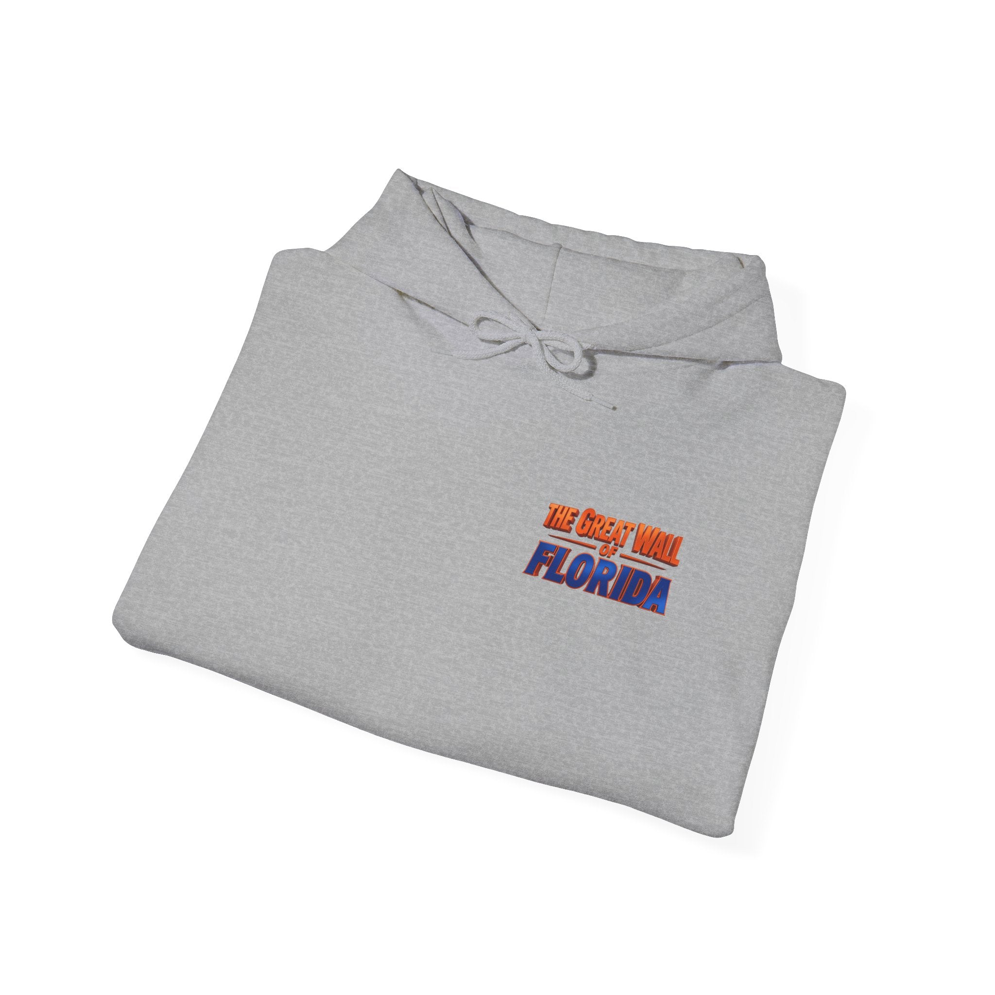 Hoodie — 'We Came From Florida' Retro the wall  Graphic Hoodie